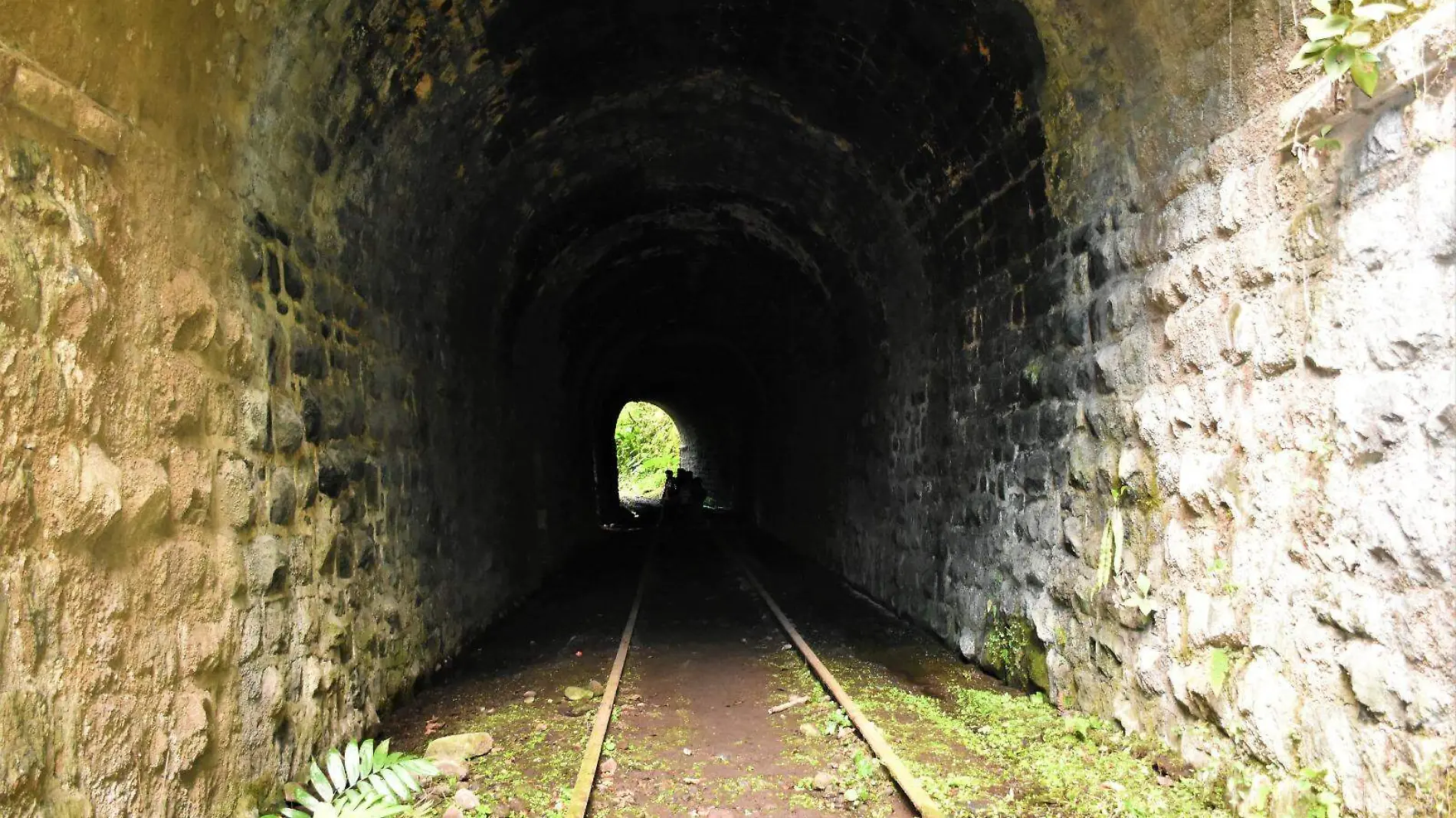 Estaciones del tren en Altas Montañas, podrían ser donadas: IVEC